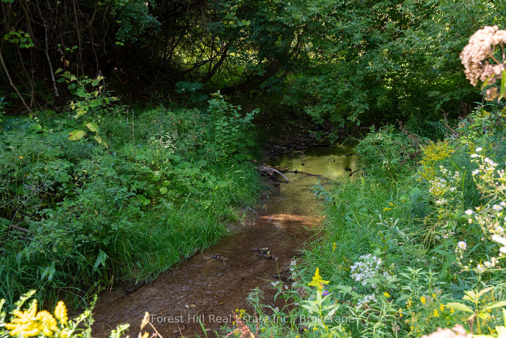 Photo 44 of 854 Sixth Street, Clearview, Rural Clearview — HOMEH