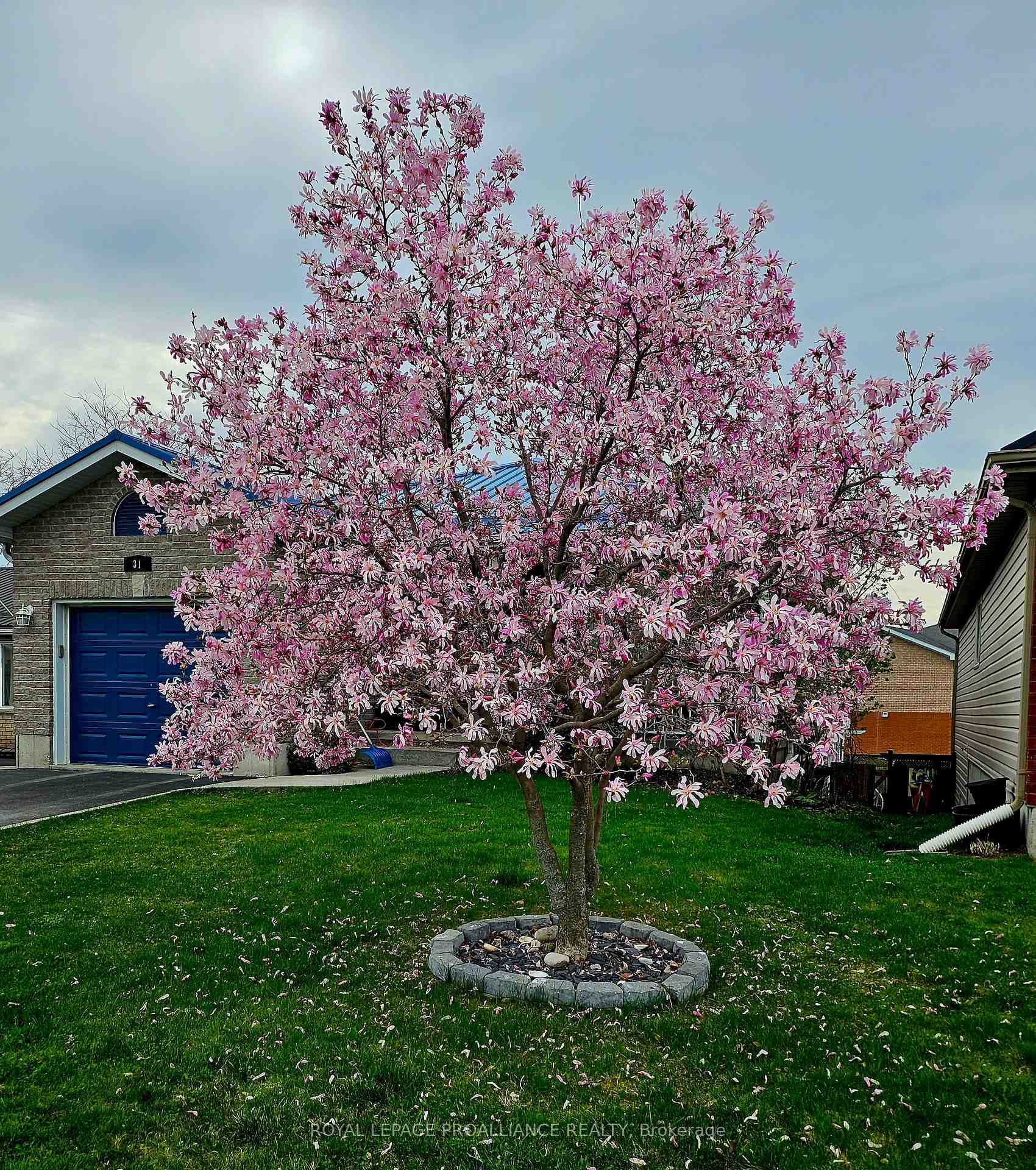 Photo 50 of 31 Follwell Crescent, Belleville, Belleville Ward — HOMEH