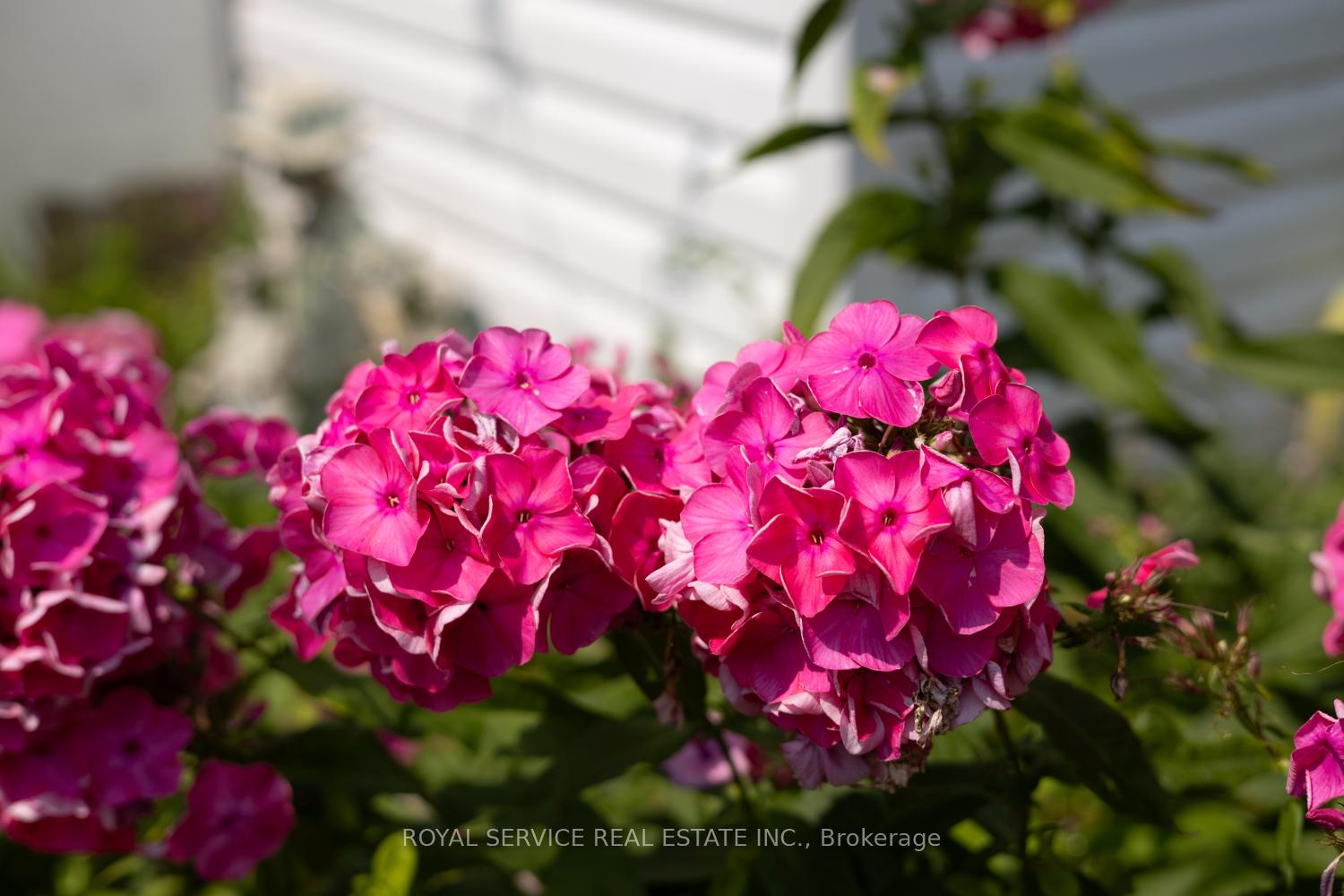 Photo 4 of 1539 Larmer Line, Cavan Monaghan, Cavan Twp — HOMEH