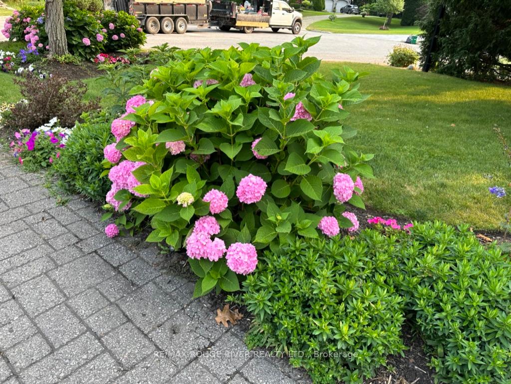 Photo 12 of 56 East House Crescent, Cobourg — HOMEH