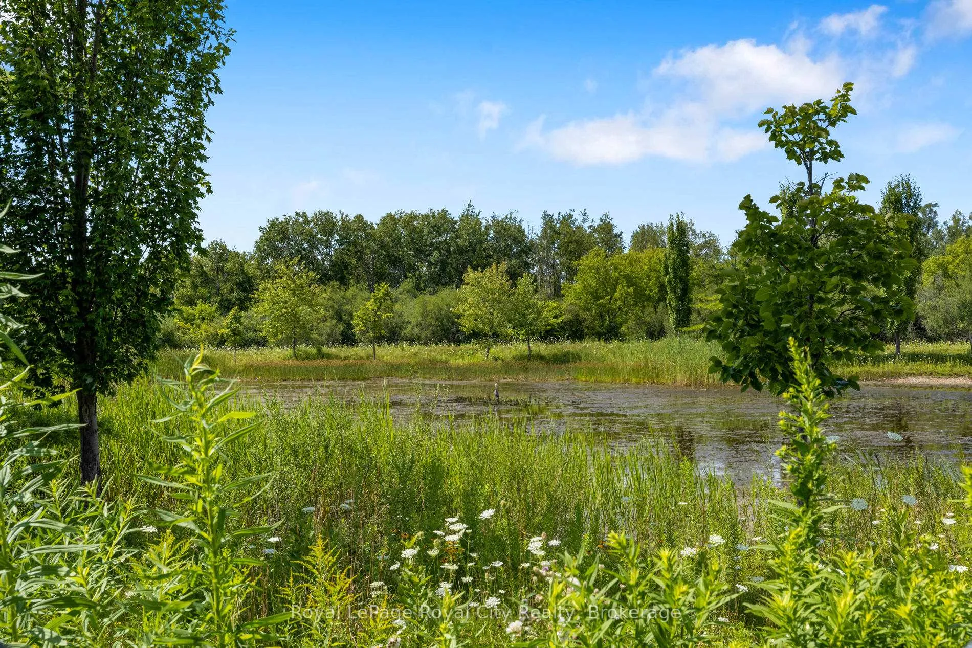 Photo 37 of 71 Vaughan Street, Guelph, Clairfields/Hanlon Business Park — HOMEH