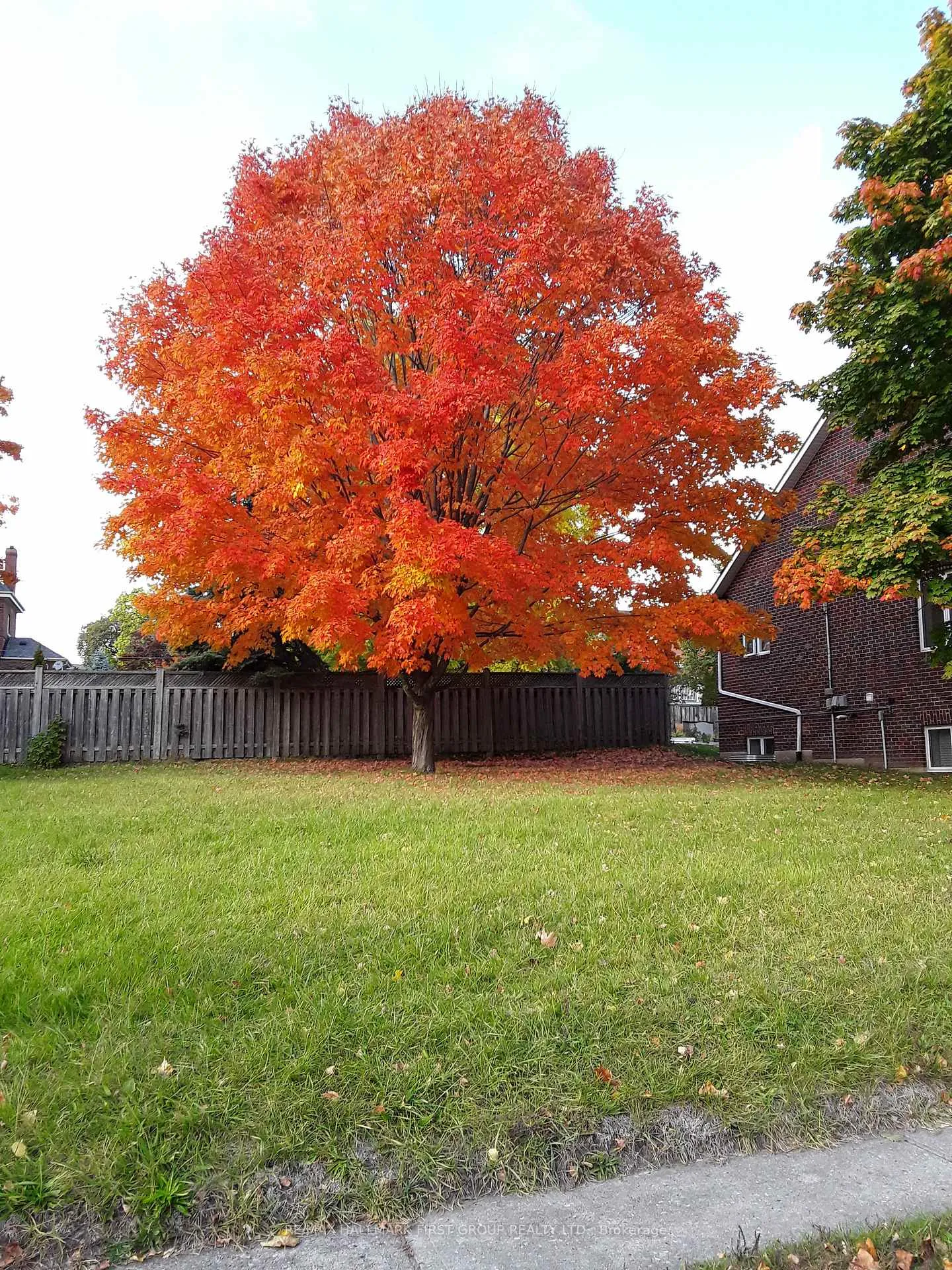 Photo 2 of 104 Anne Street, Cobourg — HOMEH