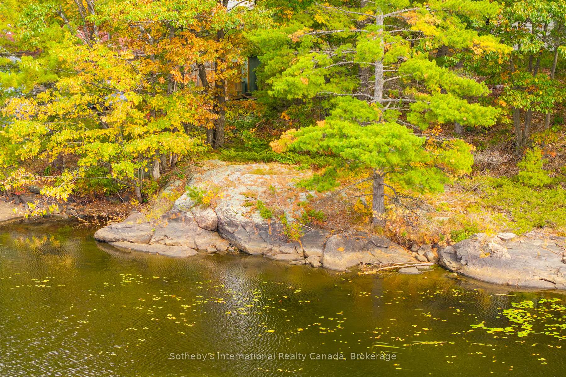 Photo 8 of 1144 South Morrison Lake Road, Gravenhurst, Morrison — HOMEH
