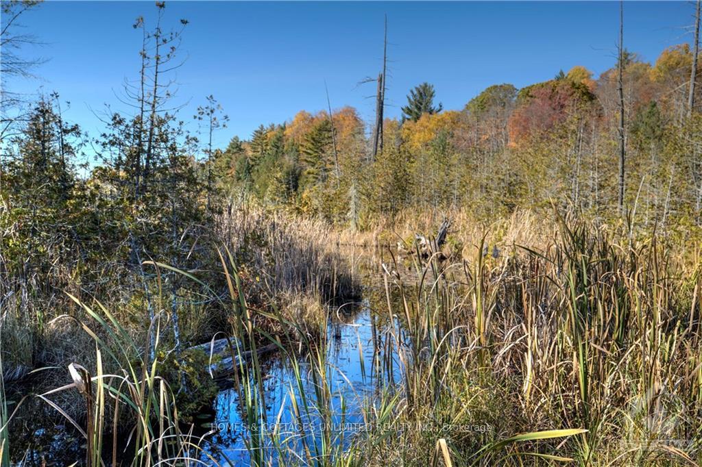 Photo 11 of 1268A South Road, Frontenac, Frontenac North — HOMEH