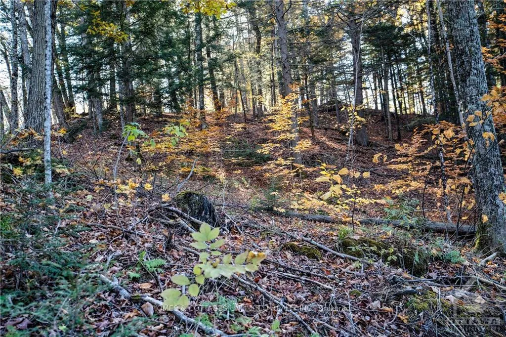 Photo 20 of 1268A South Road, Frontenac, Frontenac North — HOMEH