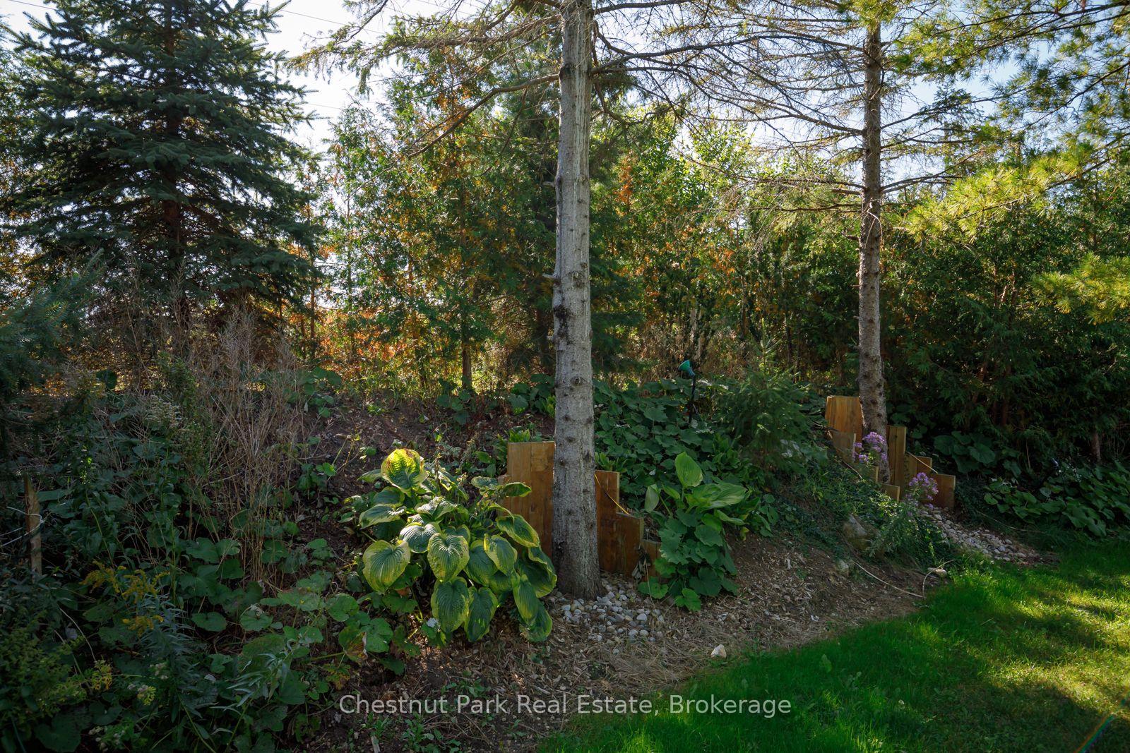Photo 48 of 8610 Poplar Side Road, Clearview, Rural Clearview — HOMEH