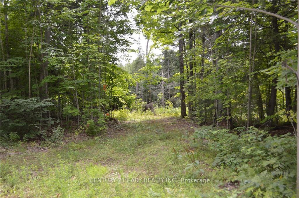 Photo 17 of 1996 Matawatchan Road, Frontenac, Frontenac North — HOMEH