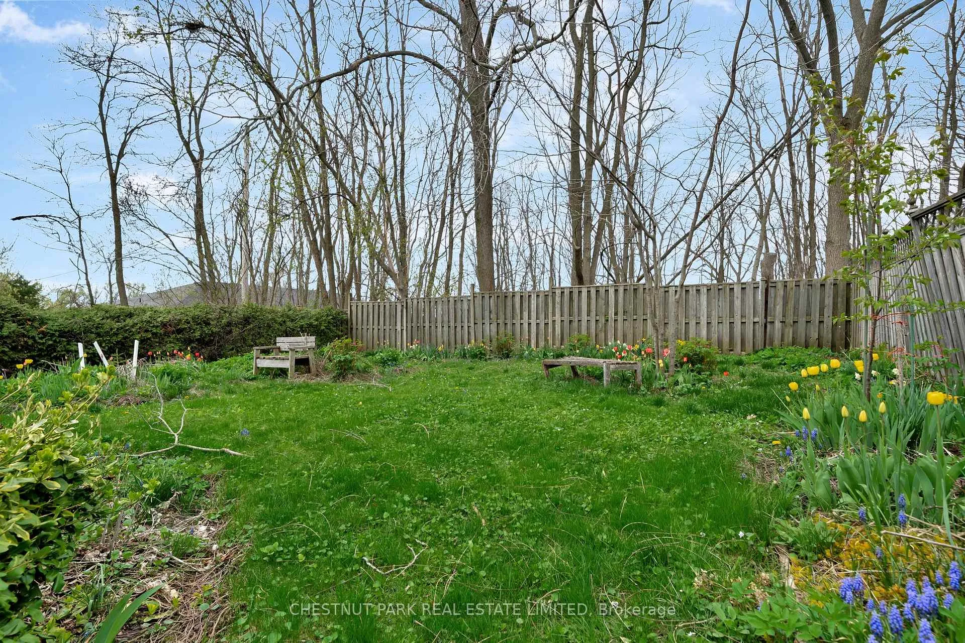 Photo 36 of 22 Division Street, Cramahe, Colborne — HOMEH