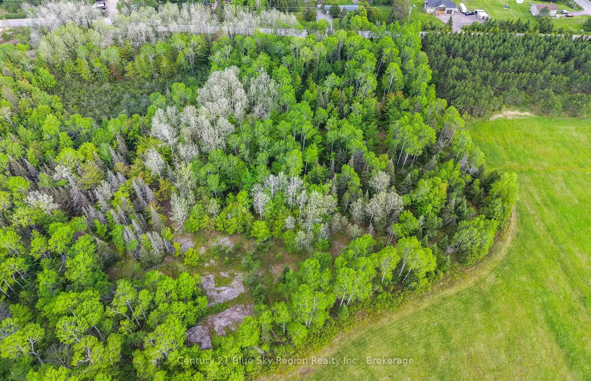 Photo 4 of 37 MacPherson Drive, East Ferris — HOMEH