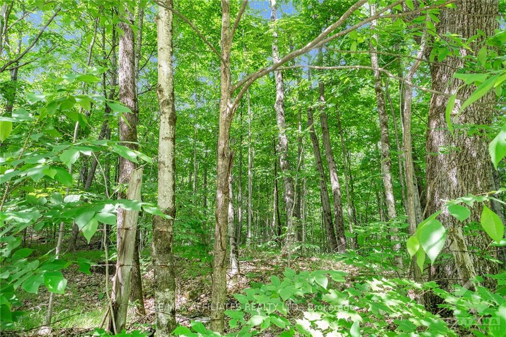 Photo 8 of 00 Schonauer Road, Frontenac, Frontenac North — HOMEH