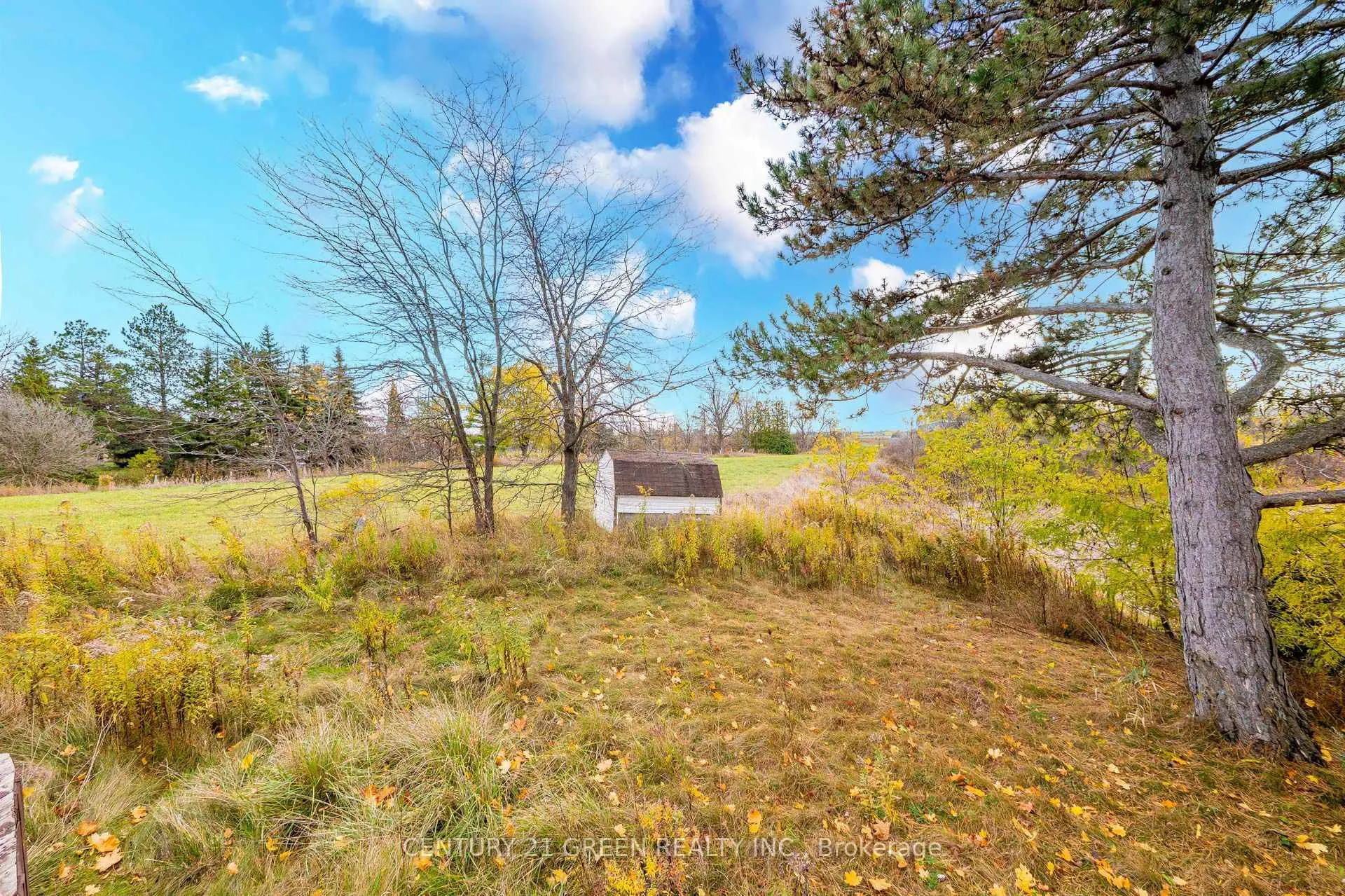 Photo 39 of 4512 Tremaine Road, Milton, Rural Trafalgar — HOMEH