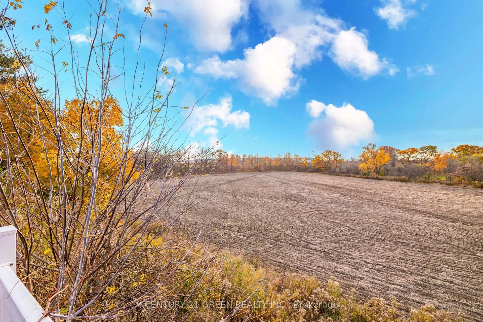 Photo 43 of 4512 Tremaine Road, Milton, Rural Trafalgar — HOMEH