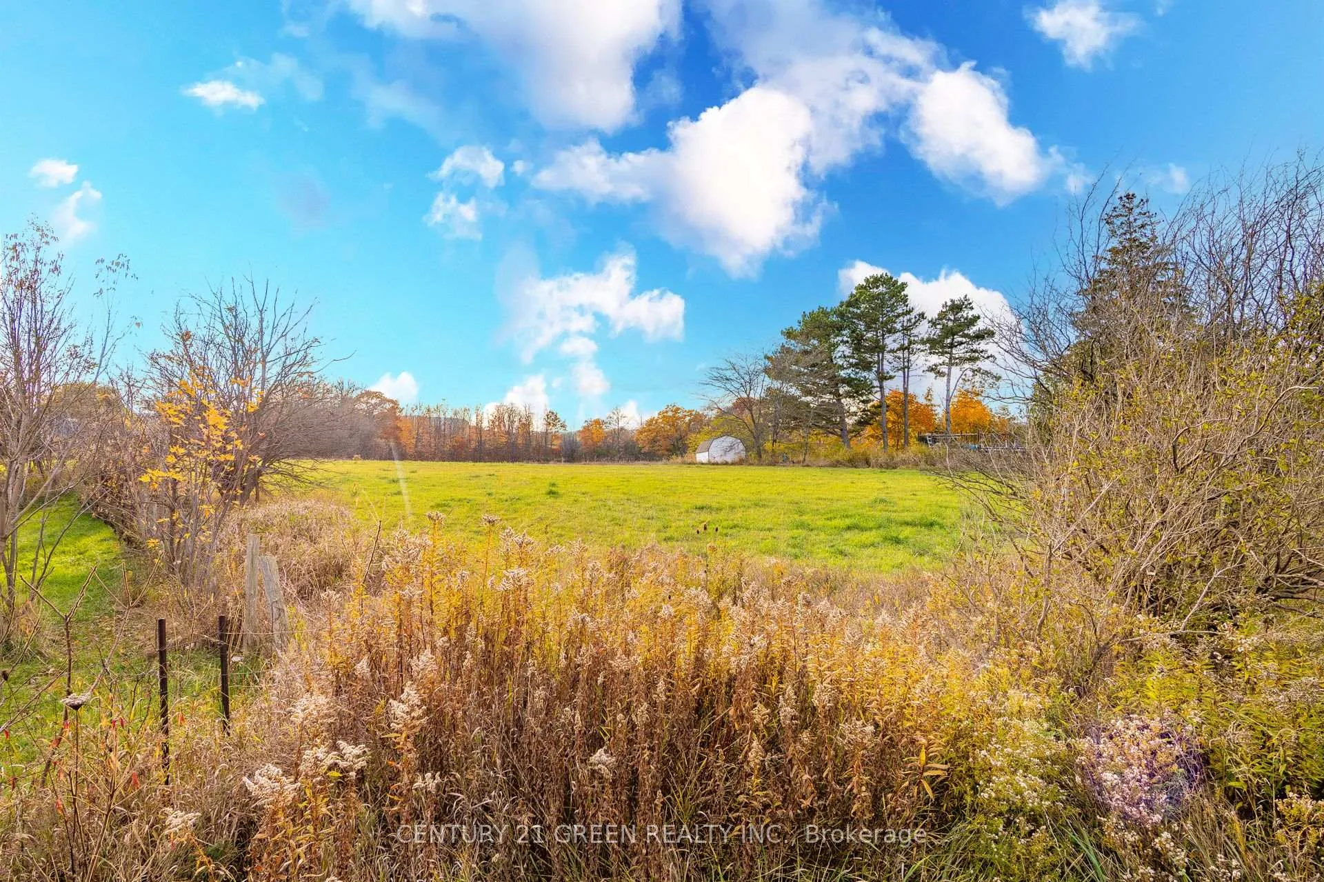 Photo 46 of 4512 Tremaine Road, Milton, Rural Trafalgar — HOMEH