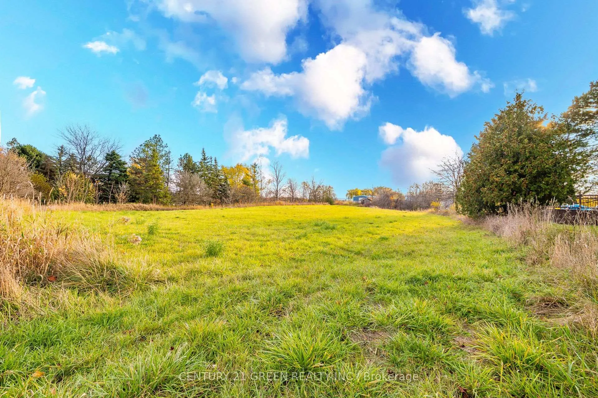 Photo 47 of 4512 Tremaine Road, Milton, Rural Trafalgar — HOMEH