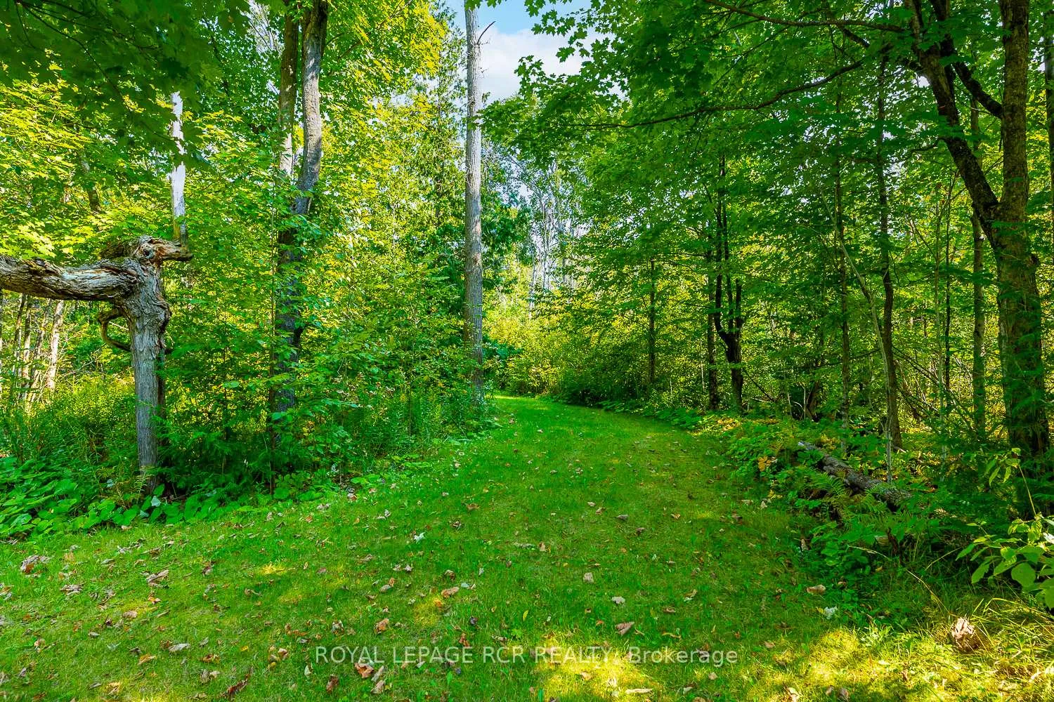 Photo 6 of 7826 5th Side Road, Adjala-Tosorontio, Rural Adjala-Tosorontio — HOMEH