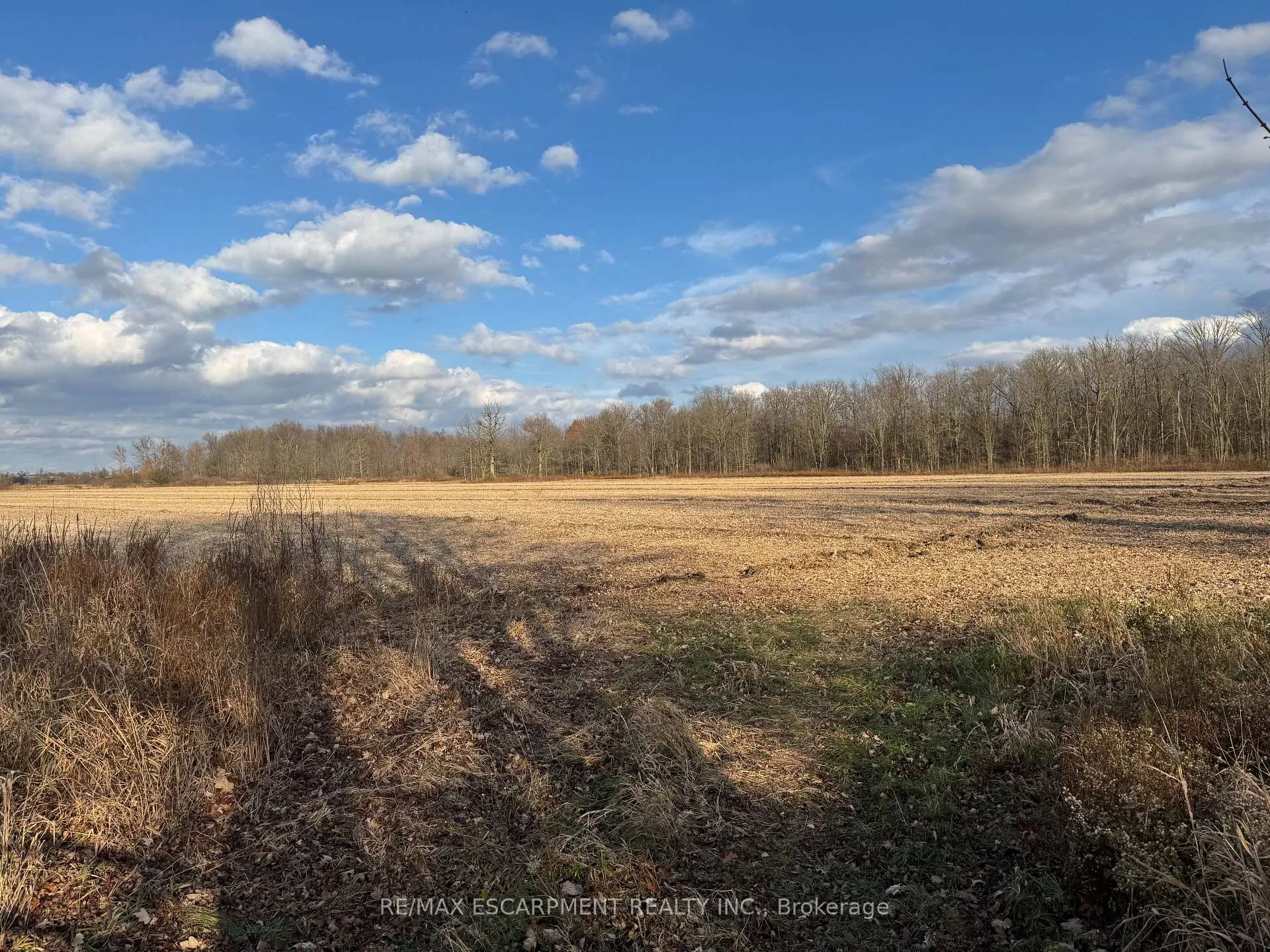 Photo 4 of 1349 Green Mountain Road, Hamilton, Stoney Creek Mountain — HOMEH