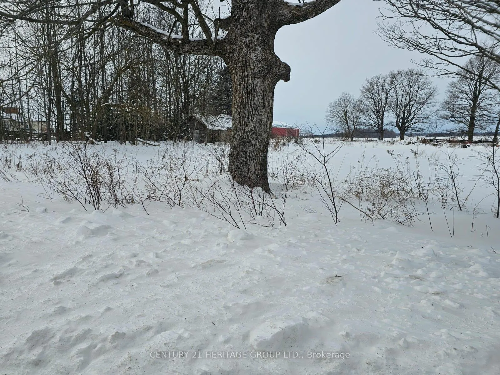 Photo 3 of 682363 260 Side Road, Melancthon, Rural Melancthon — HOMEH