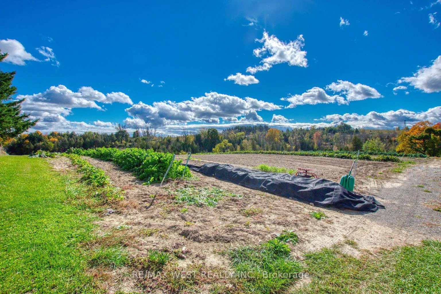 Photo 25 of 16082 Hwy 50, Caledon, Rural Caledon — HOMEH
