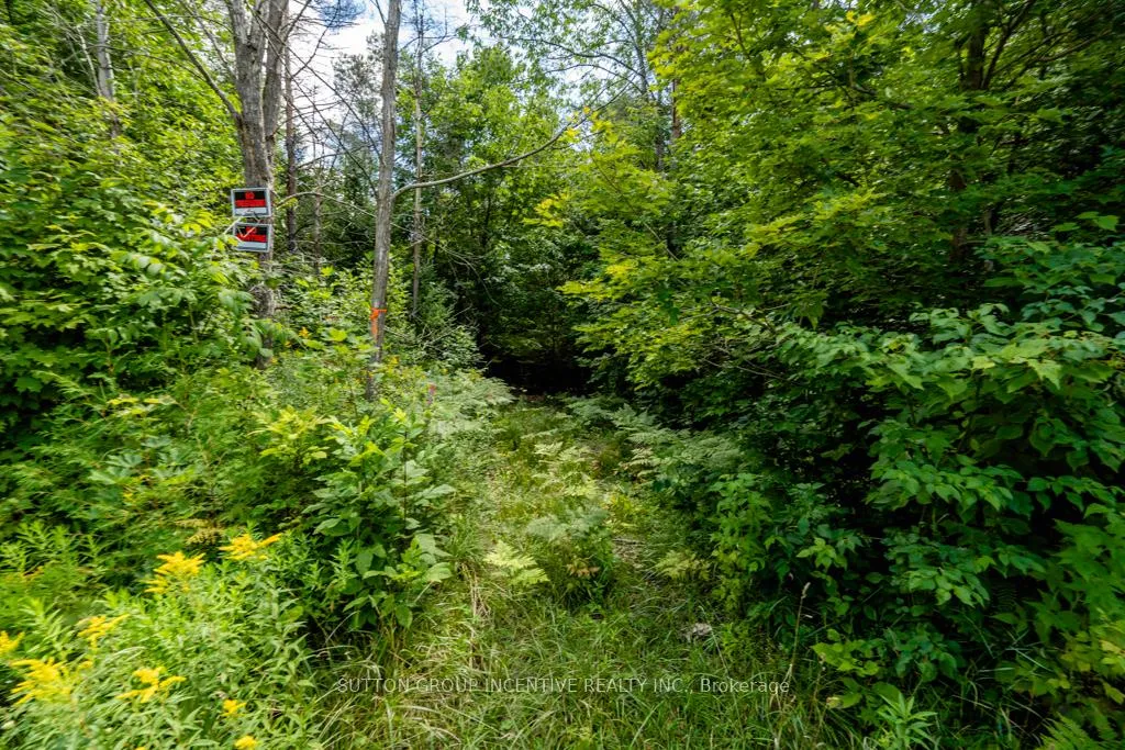 Photo 8 of 5349 30th Side Road, Essa, Rural Essa — HOMEH