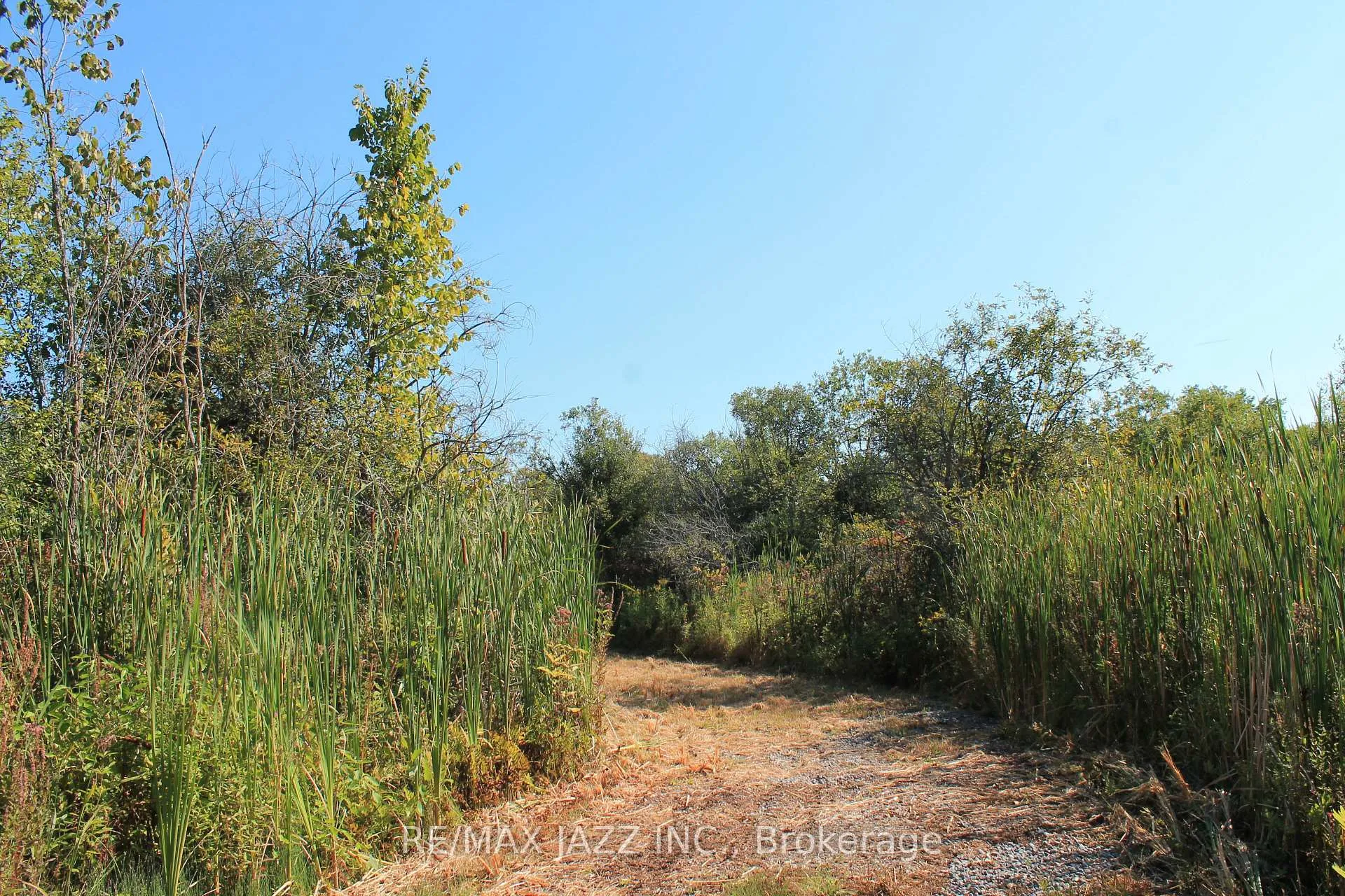 Photo 2 of Mitchell Road, Cramahe, Rural Cramahe — HOMEH
