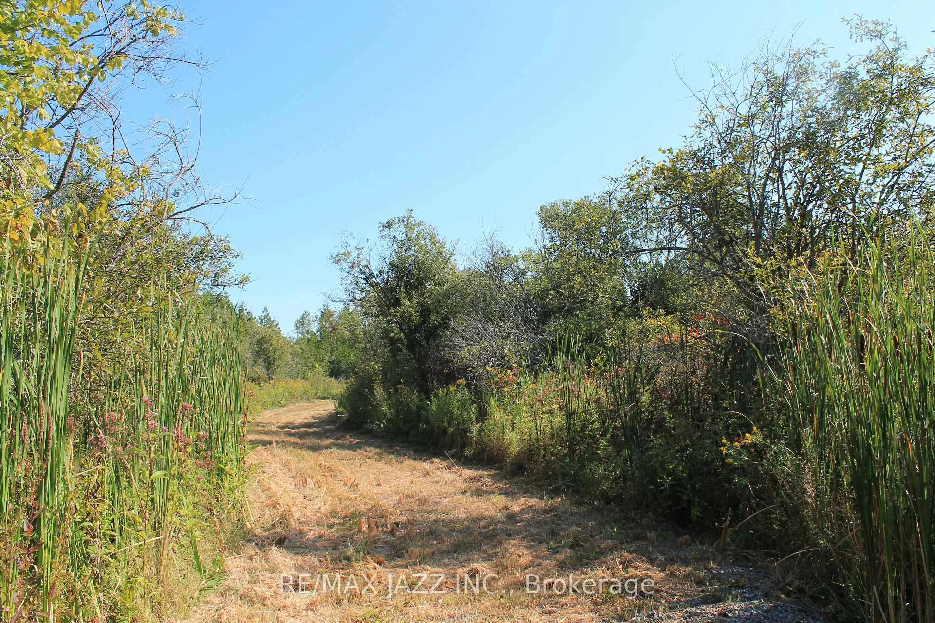 Photo 3 of Mitchell Road, Cramahe, Rural Cramahe — HOMEH