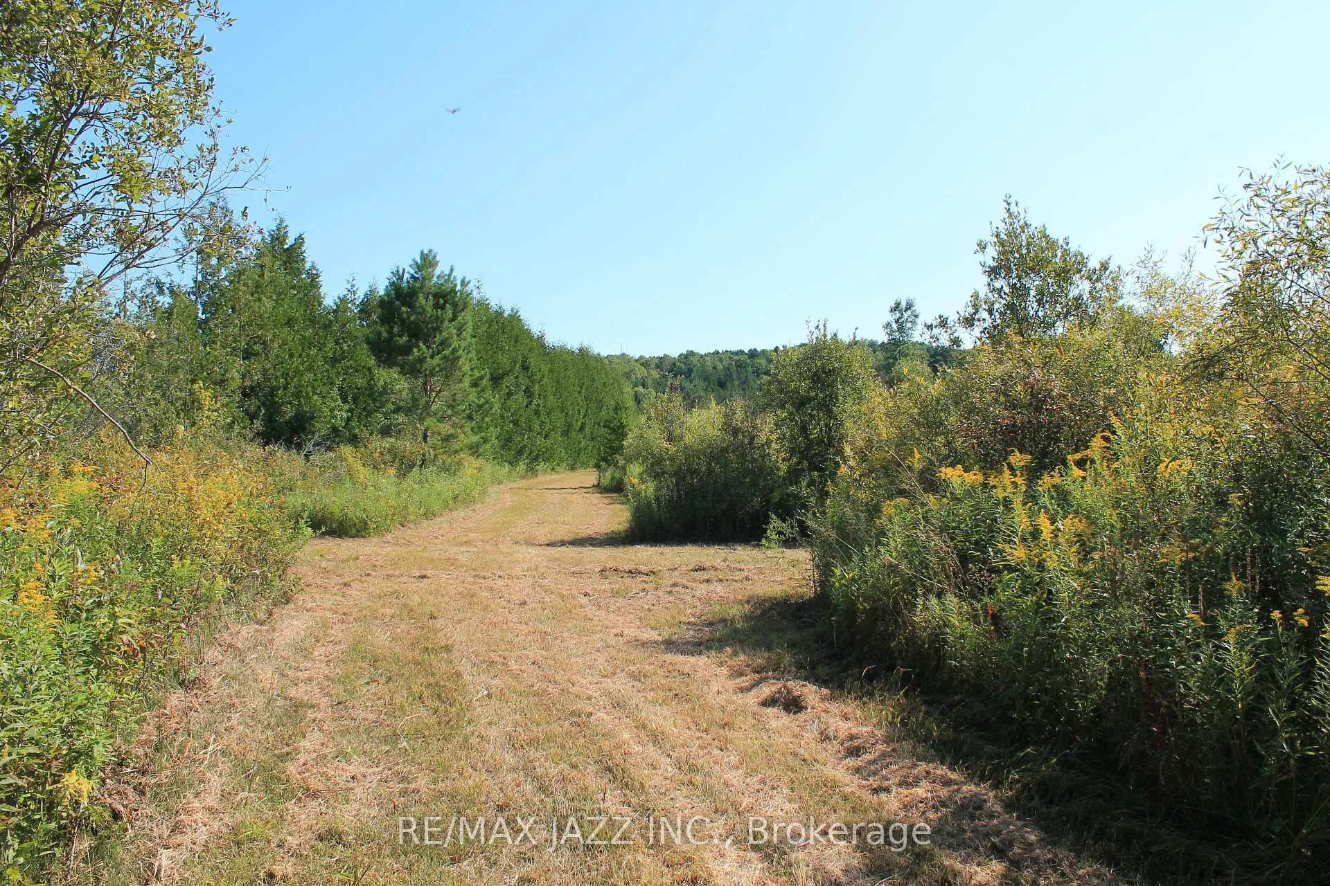 Photo 4 of Mitchell Road, Cramahe, Rural Cramahe — HOMEH