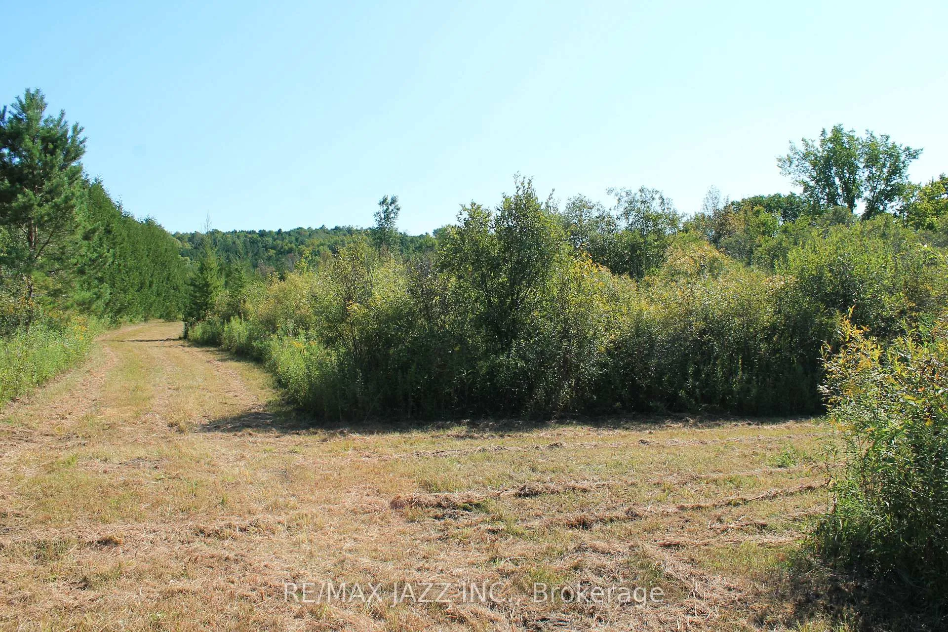 Photo 5 of Mitchell Road, Cramahe, Rural Cramahe — HOMEH