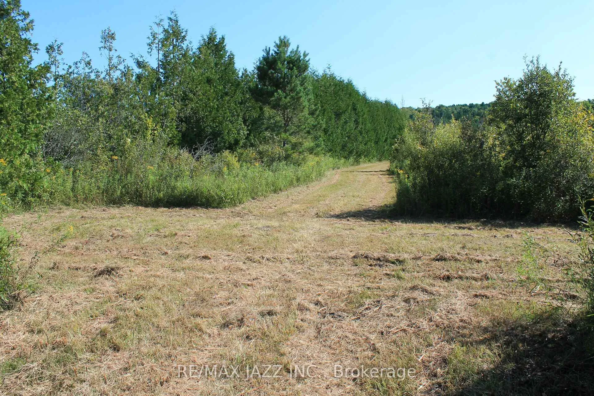 Photo 6 of Mitchell Road, Cramahe, Rural Cramahe — HOMEH