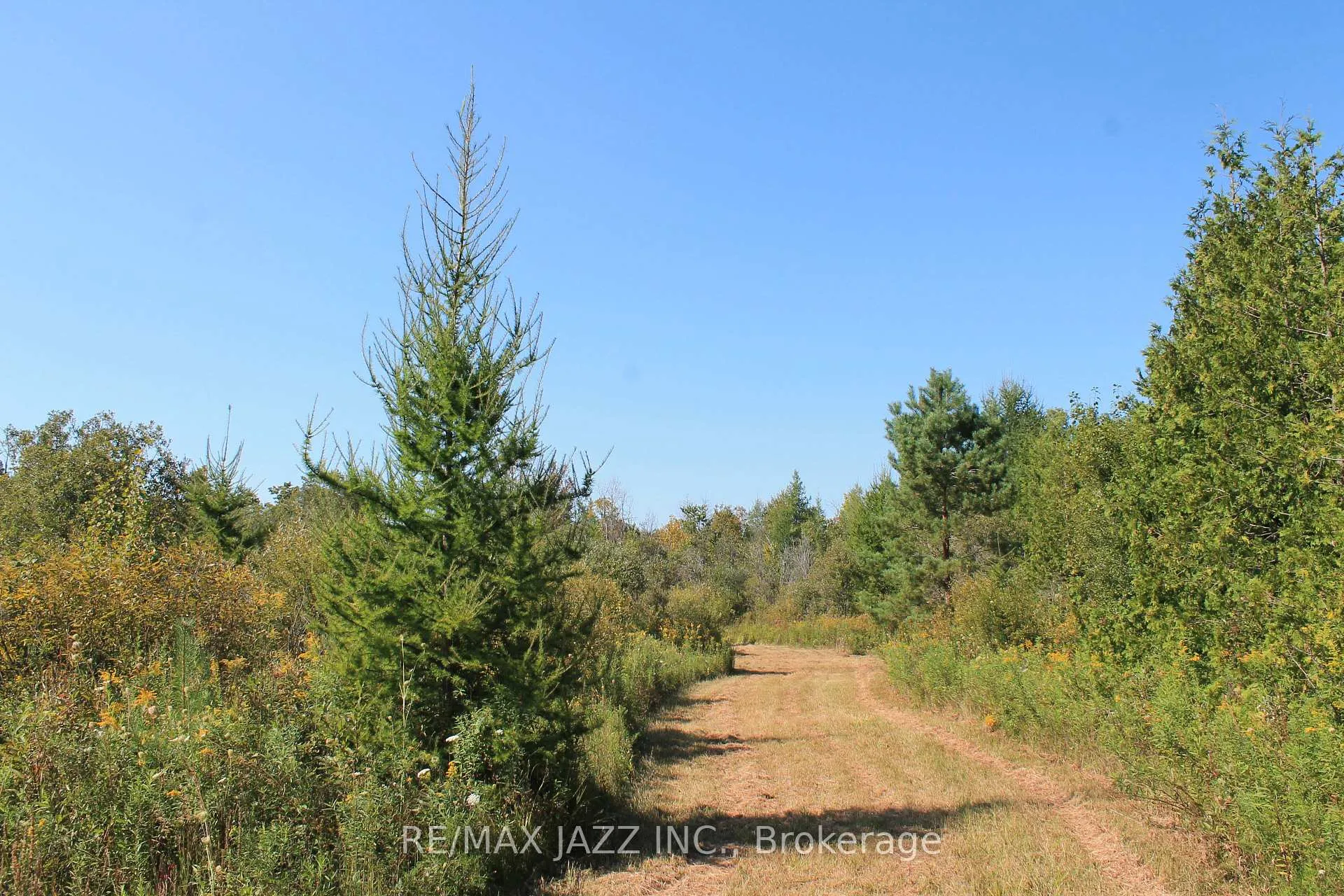 Photo 7 of Mitchell Road, Cramahe, Rural Cramahe — HOMEH