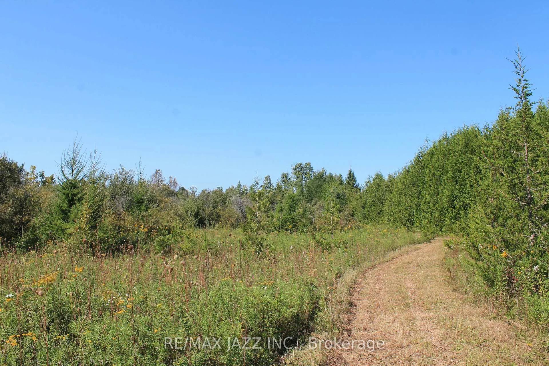 Photo 8 of Mitchell Road, Cramahe, Rural Cramahe — HOMEH