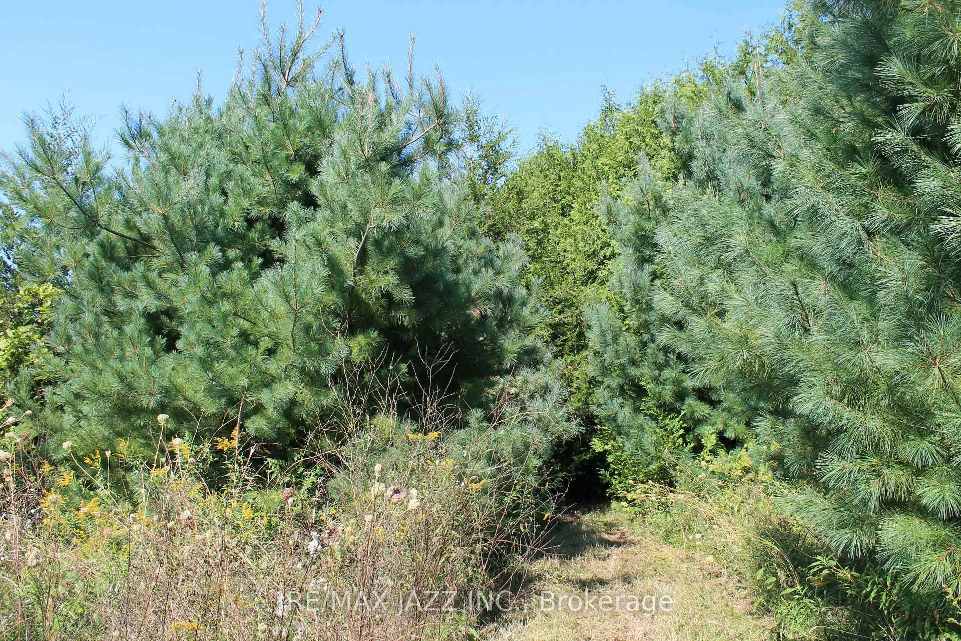 Photo 9 of Mitchell Road, Cramahe, Rural Cramahe — HOMEH