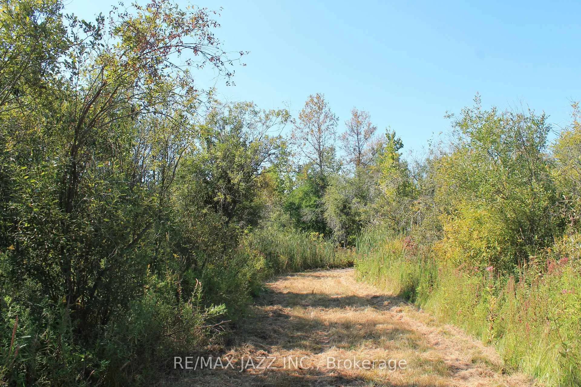 Photo 10 of Mitchell Road, Cramahe, Rural Cramahe — HOMEH