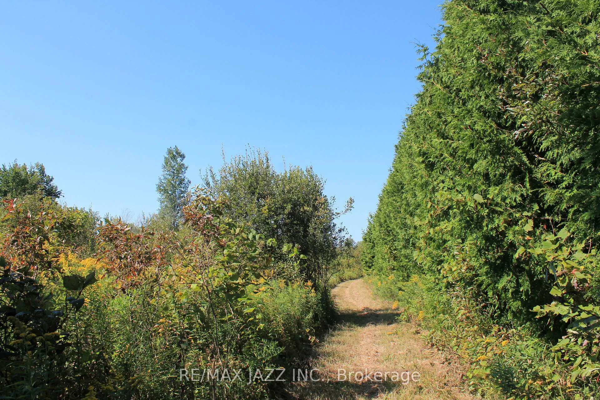 Photo 11 of Mitchell Road, Cramahe, Rural Cramahe — HOMEH