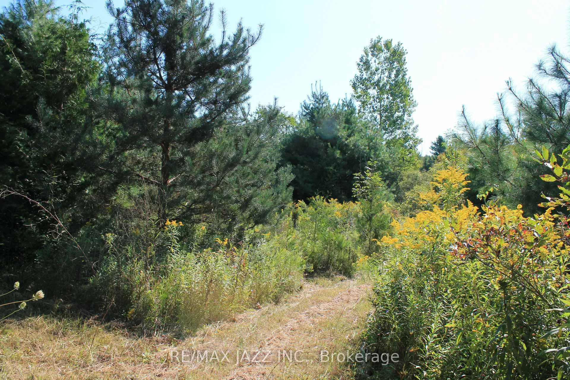 Photo 12 of Mitchell Road, Cramahe, Rural Cramahe — HOMEH