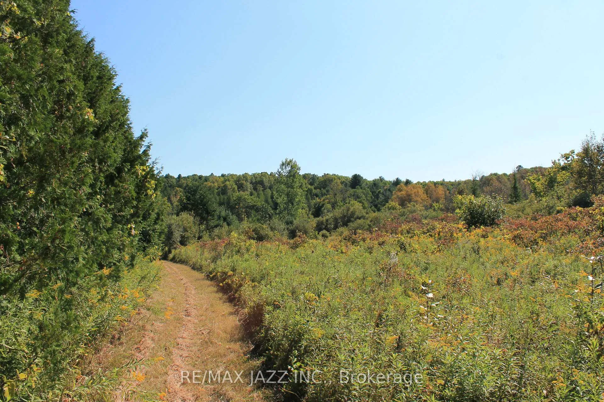 Photo 13 of Mitchell Road, Cramahe, Rural Cramahe — HOMEH
