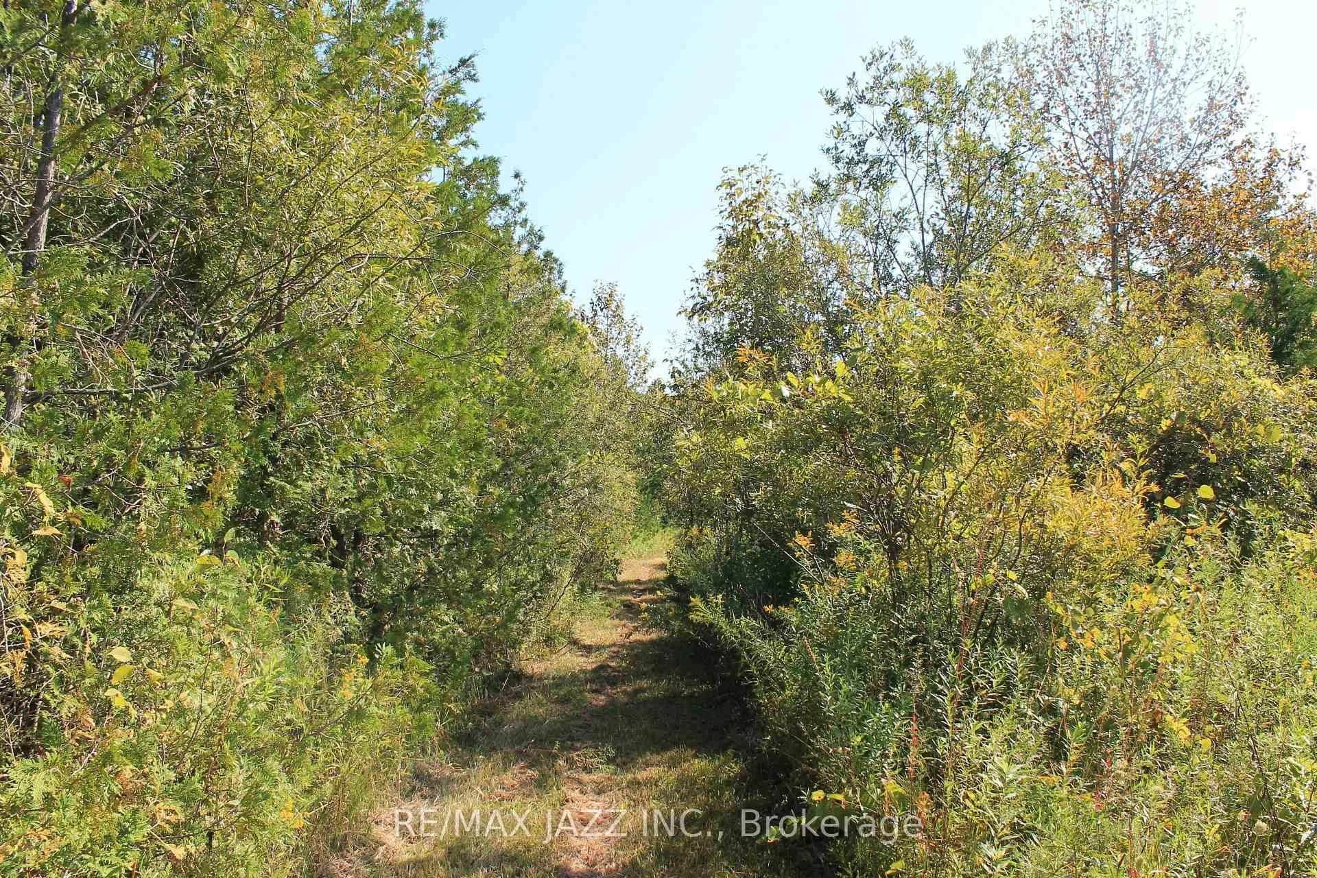 Photo 14 of Mitchell Road, Cramahe, Rural Cramahe — HOMEH