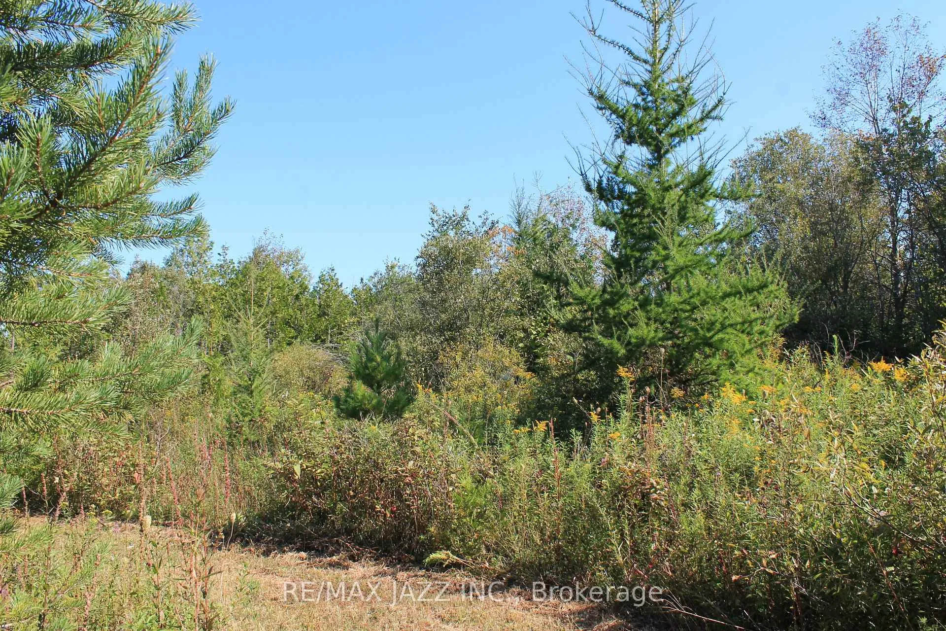 Photo 15 of Mitchell Road, Cramahe, Rural Cramahe — HOMEH