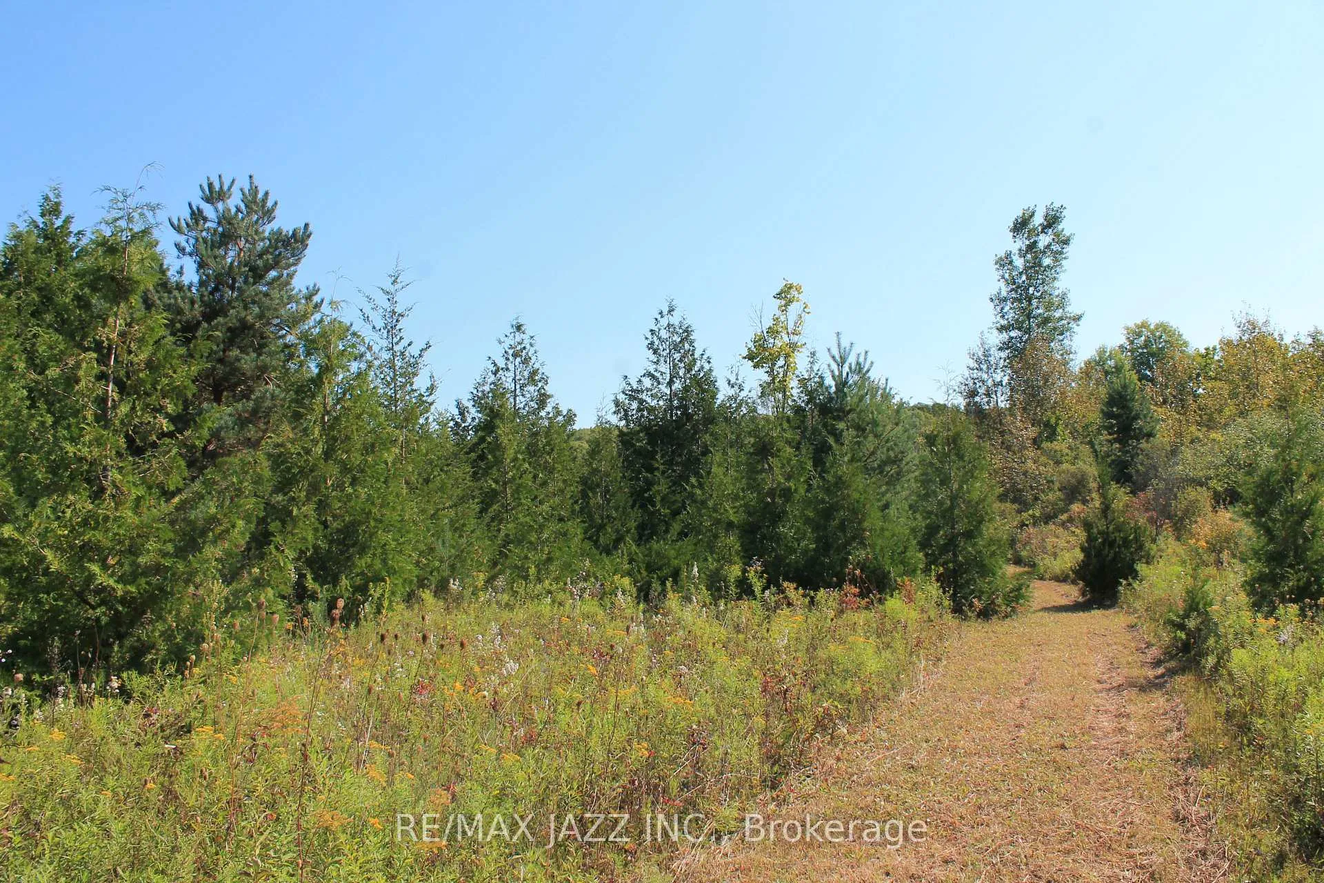 Photo 16 of Mitchell Road, Cramahe, Rural Cramahe — HOMEH