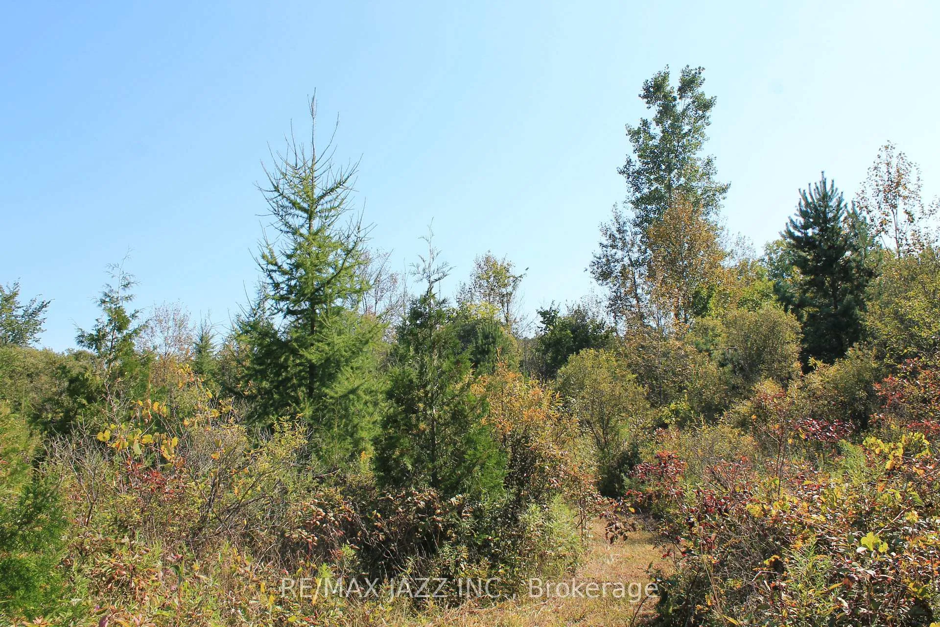 Photo 17 of Mitchell Road, Cramahe, Rural Cramahe — HOMEH