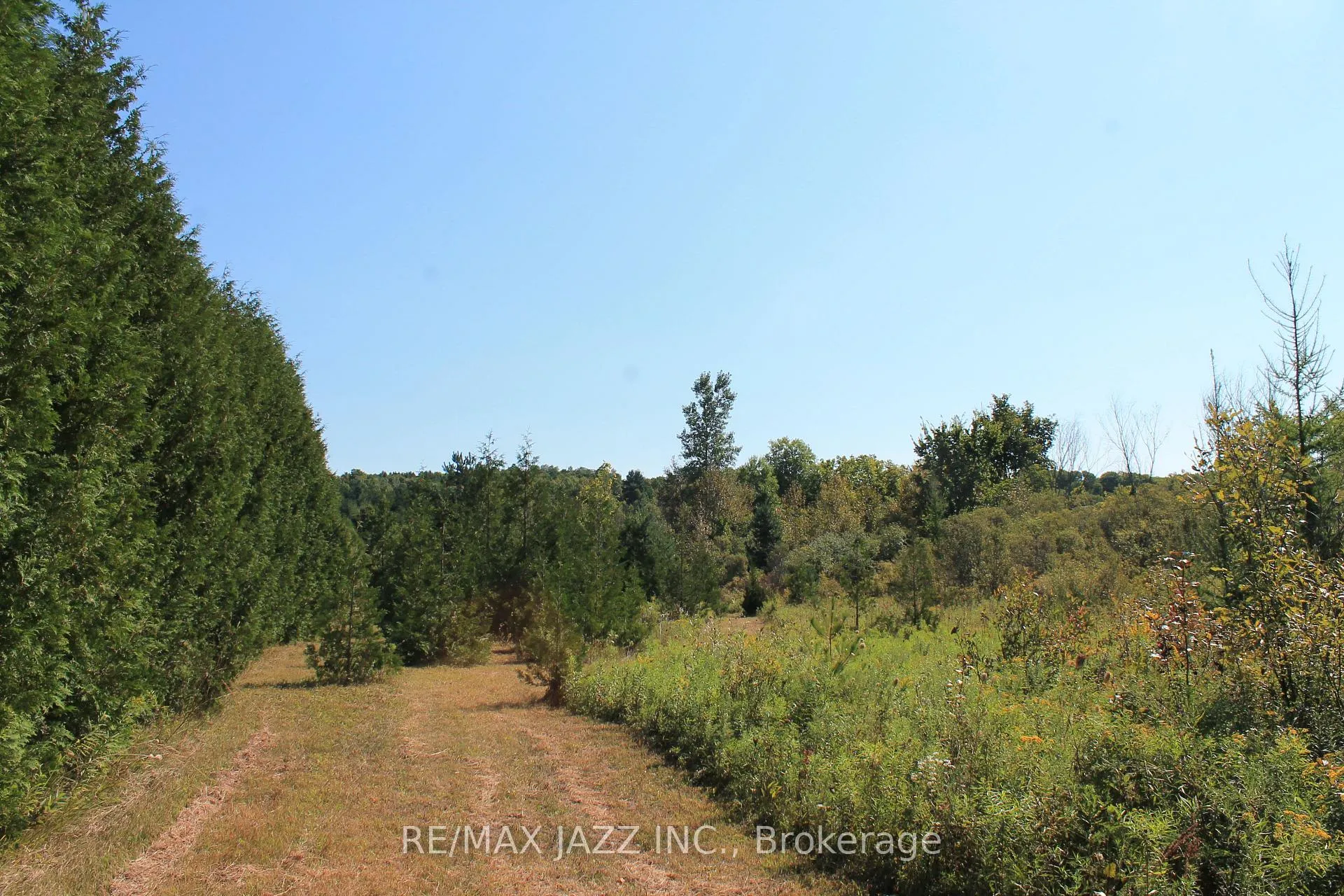 Photo 18 of Mitchell Road, Cramahe, Rural Cramahe — HOMEH