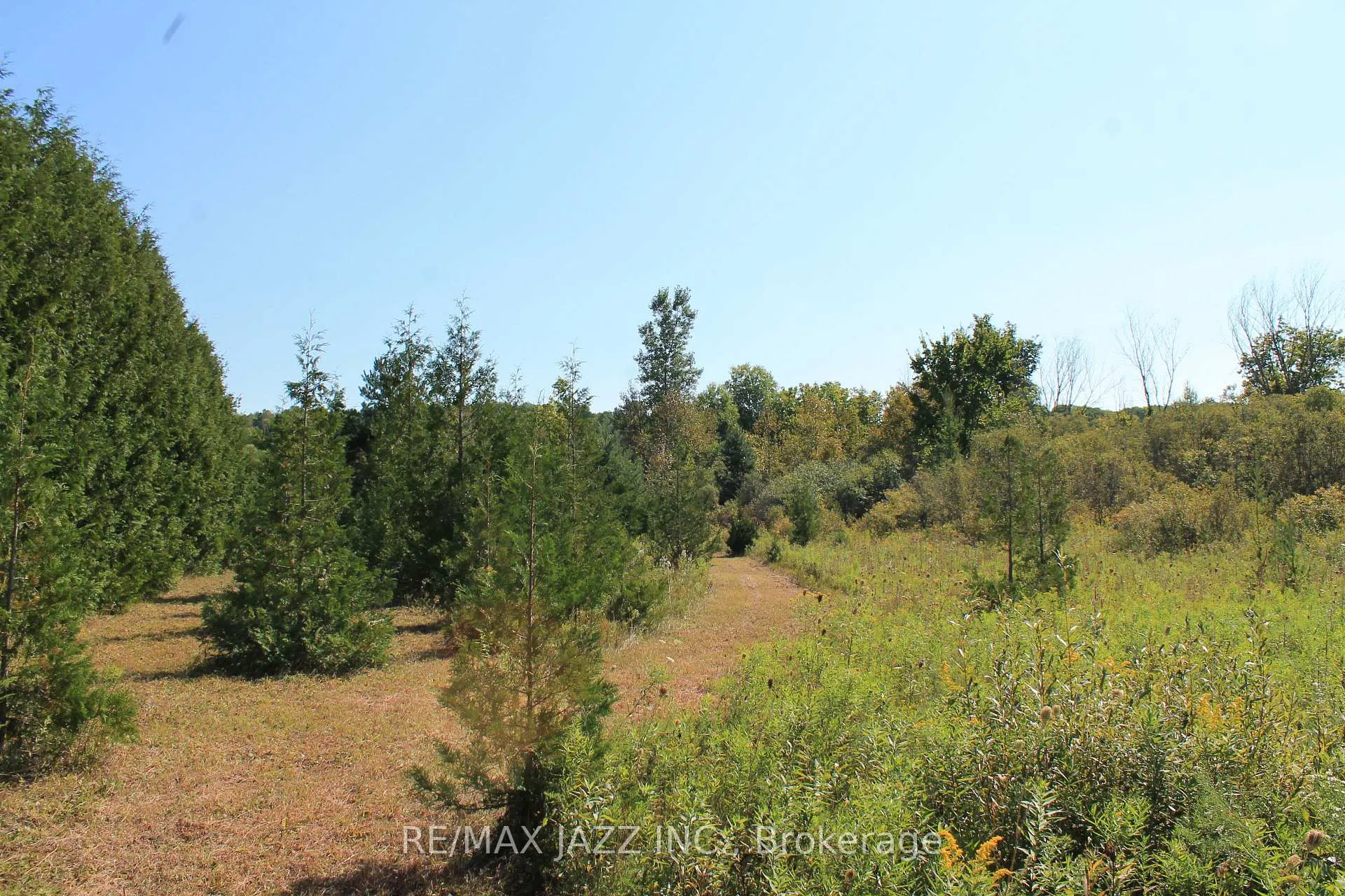 Photo 19 of Mitchell Road, Cramahe, Rural Cramahe — HOMEH