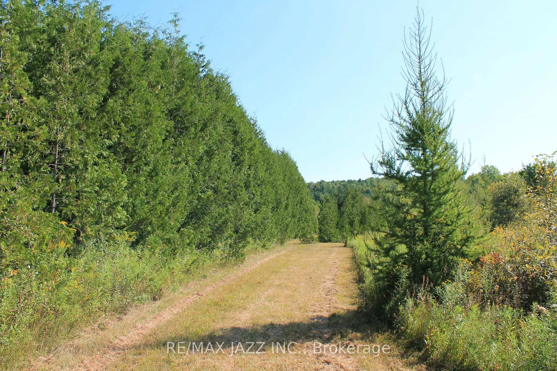 Photo 20 of Mitchell Road, Cramahe, Rural Cramahe — HOMEH