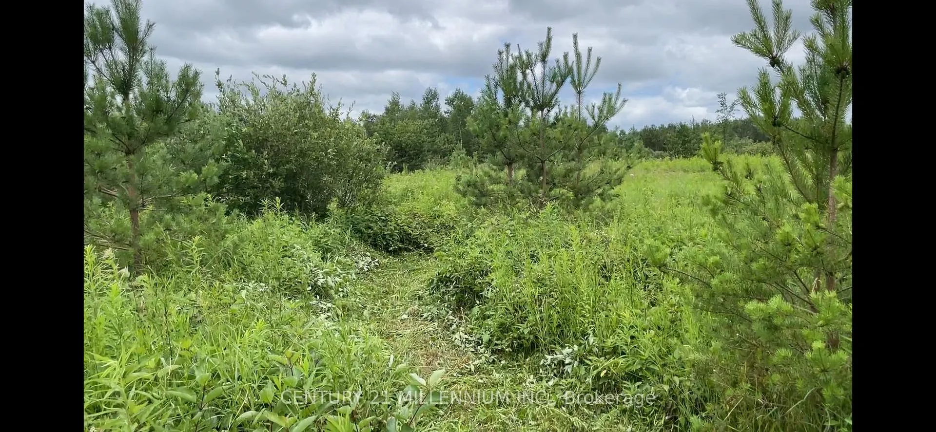 Photo 3 of Lot 20 8th Line, Amaranth, Rural Amaranth — HOMEH