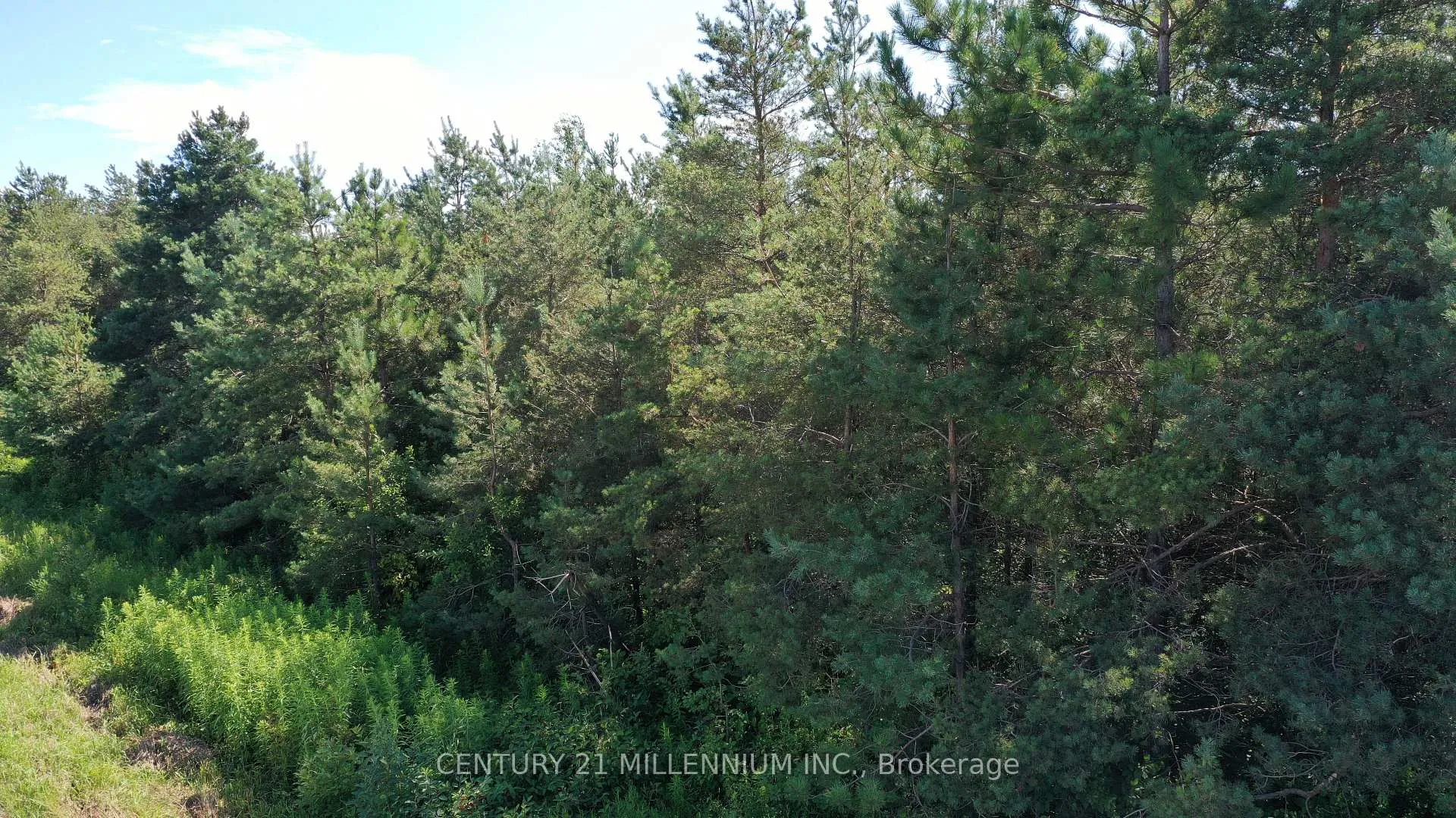 Photo 7 of Lot 20 8th Line, Amaranth, Rural Amaranth — HOMEH