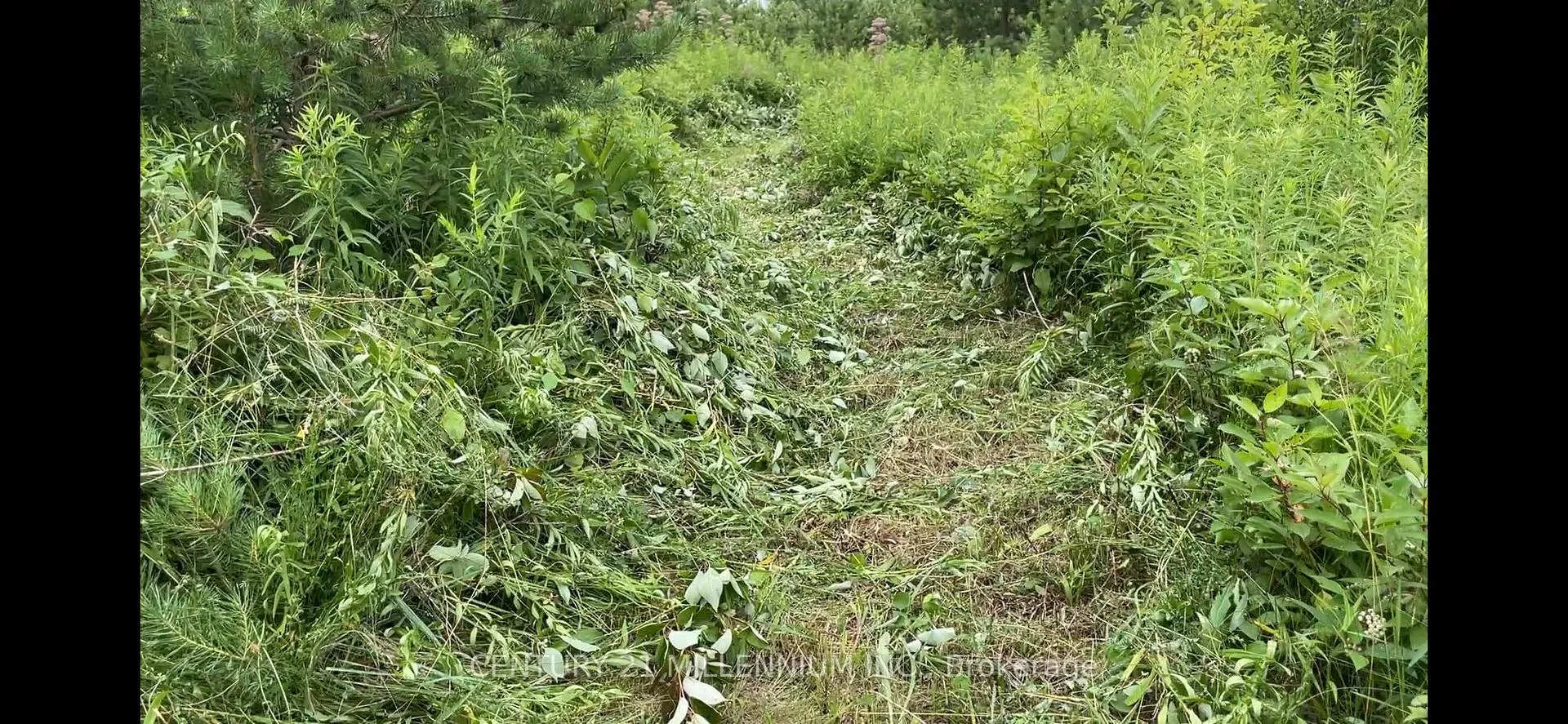 Photo 8 of Lot 20 8th Line, Amaranth, Rural Amaranth — HOMEH