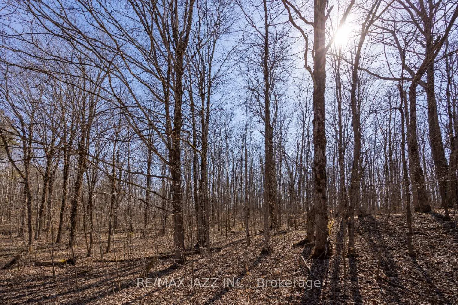 Photo 12 of Pt Lt 27 Con 9, Clarington, Rural Clarington — HOMEH