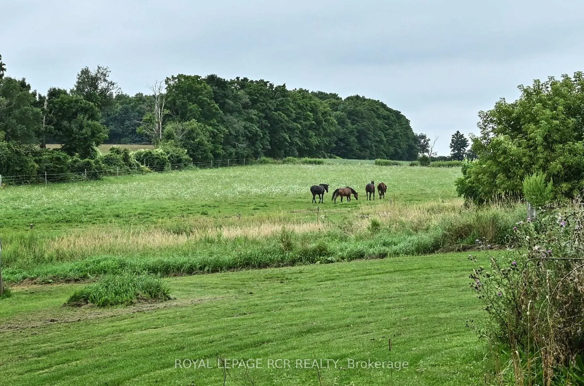 Photo 26 of 294066 8th Line, Amaranth, Rural Amaranth — HOMEH