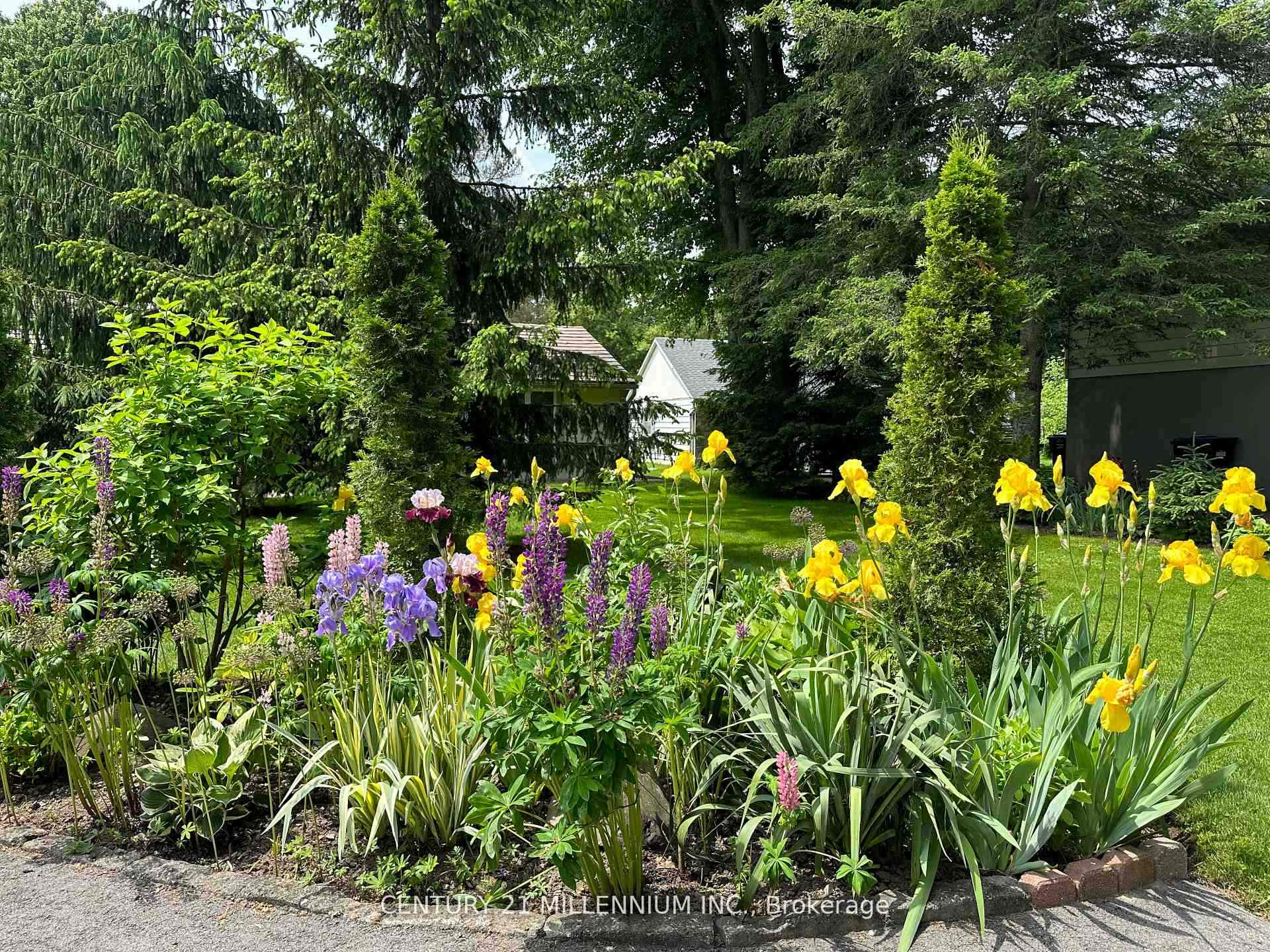 Photo 4 of 48 Credit Road, Caledon, Cheltenham — HOMEH