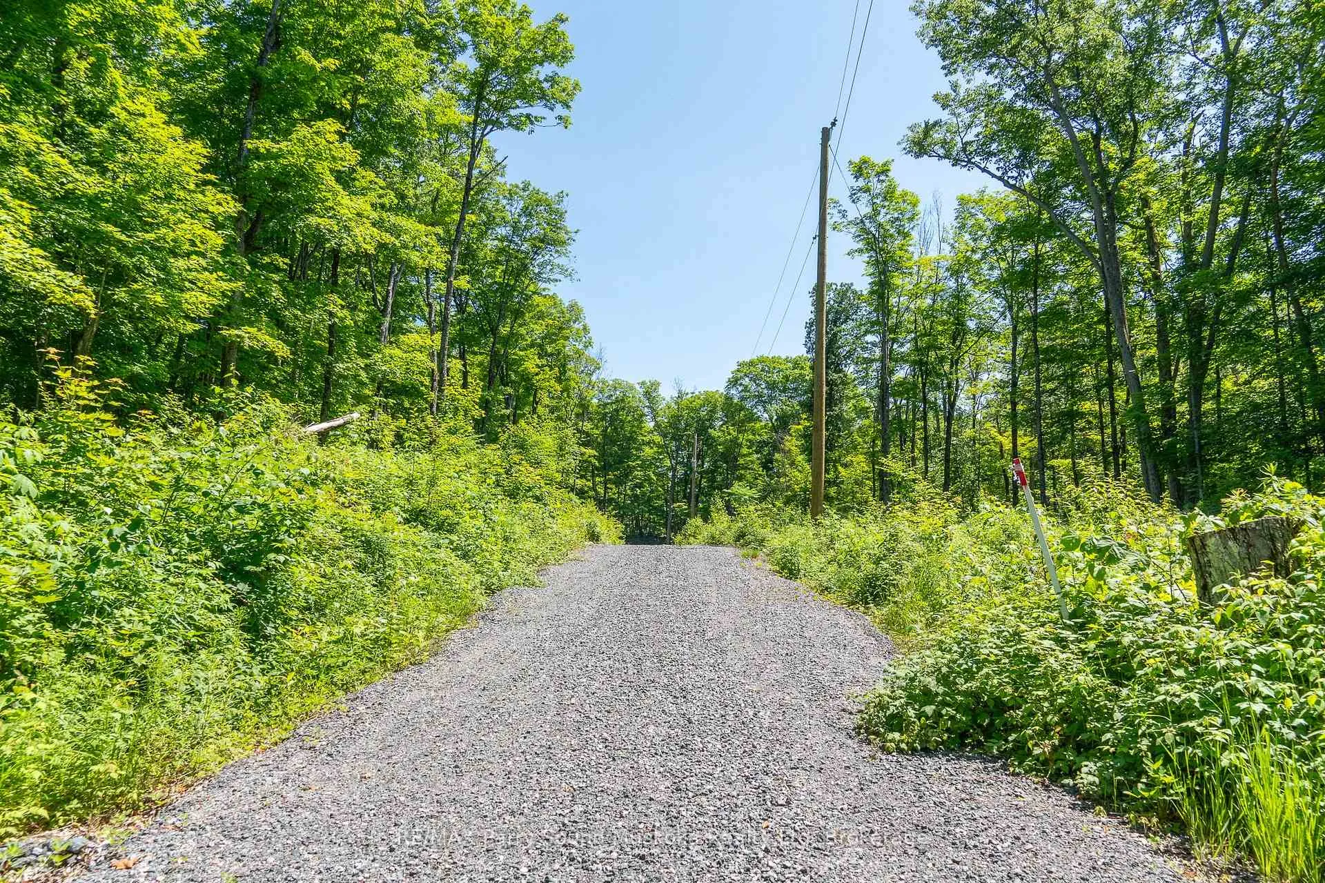 Photo 22 of Floods Lane, McKellar — HOMEH