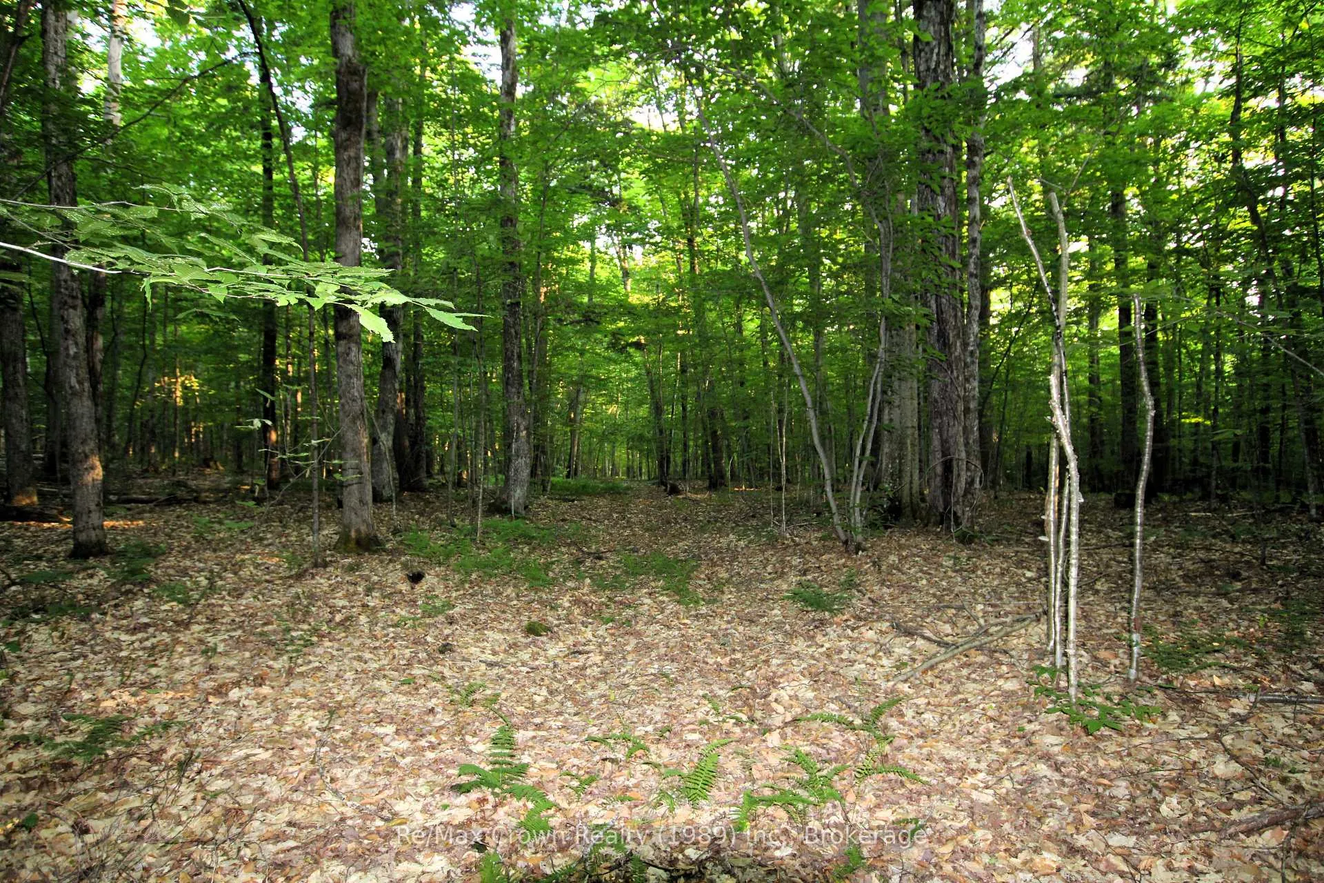 Photo 9 of 0A Pilgers Rd, Nipissing — HOMEH